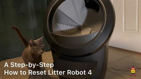 How to Reset Your Litter Robot A Comprehensive Guide The Enlightened