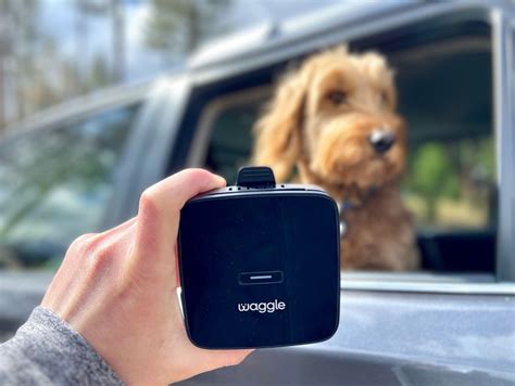 Waggle Pet Monitor 1 RV Temperature Monitor Waggle®