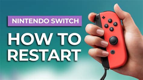How To Reset Nintendogs Chihuahua and Friends? Here’s The Easy Way