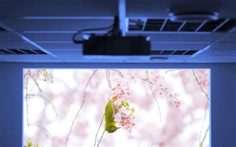 How To Focus Epson Projector