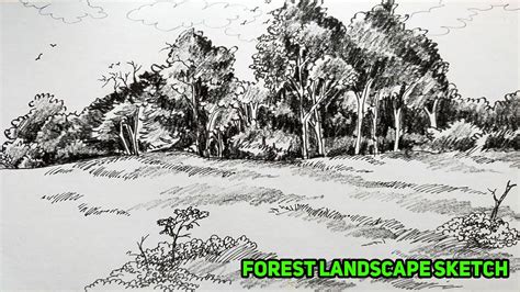 How To Draw Forest Scenery Very Easy Step By Step Drawing Forest Scenery For Beginners YouTube