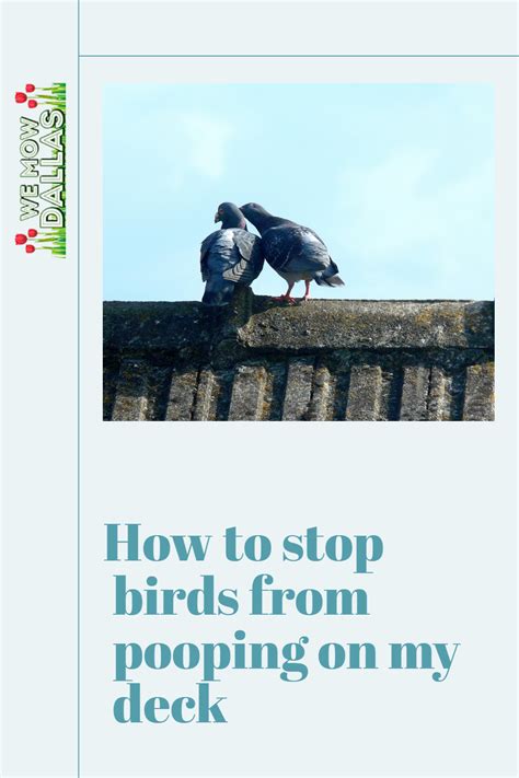 Avoiding Bird Poop On Your Deck