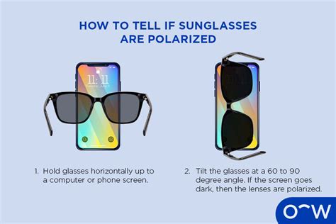 How Do Polarized Lenses Work? Specsforvets