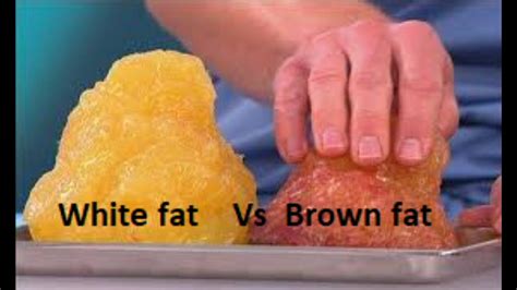 how to turn fat into brown fat
