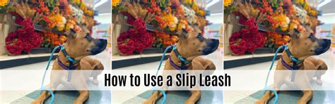 How to Use A Slip Lead to Stop Pulling