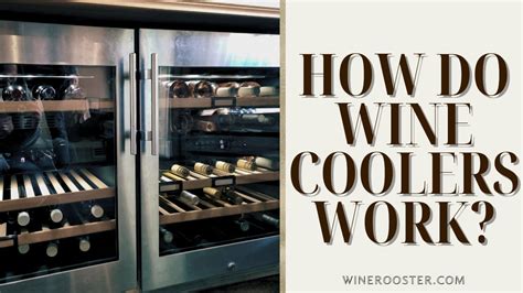 Installing a Builtin Wine Cooler A Comprehensive Guide Kitchen Remodel in Santa Ana