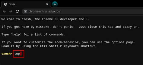 How to Access the Command Prompt on a Chromebook Tech Junkie