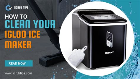 Craving Iced Coffee and Cocktails? Meet the Igloo Electric Ice Maker