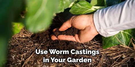 How To Make Worm Castings Heirloom Grown