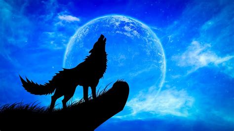 howling at the moon wolf requirement
