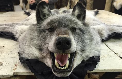 howling wolf furs alaska