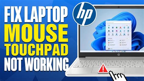 hp laptop mouse continually not working