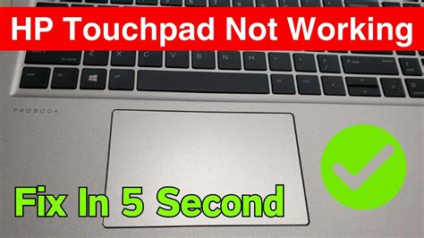 hp laptops touchpad not working