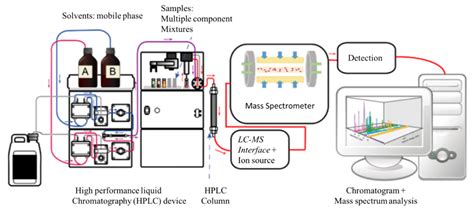 Hplc-Ms/Ms Method