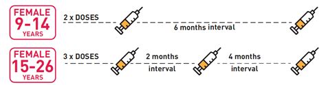 hpv 3 dose schedule timing