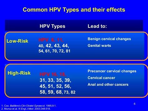 hpv 31 33 52 58