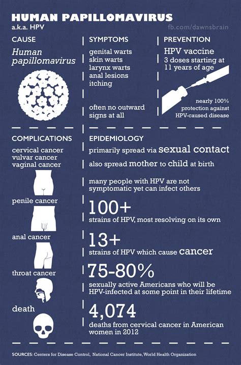 hpv and anal cancer in women