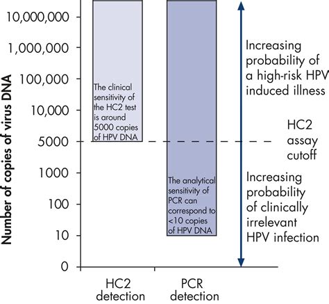 hpv dna high risk oth