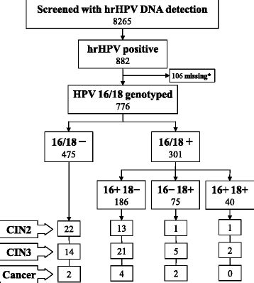 hpv genotypes 16 and 18 cervical cancer