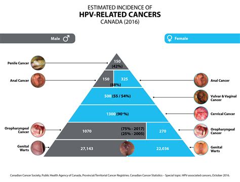 Understanding HPV High Risk: What You Need to Know About Prevention and Protection