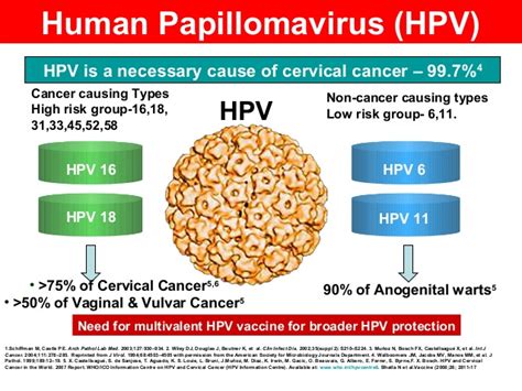 hpv not 16/18 detected