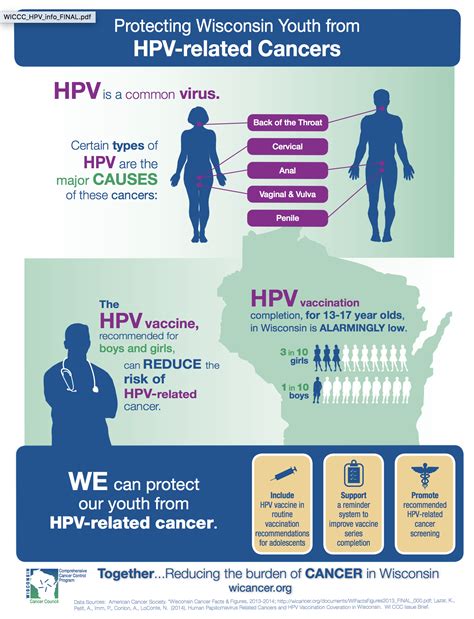 hpv positive cancer