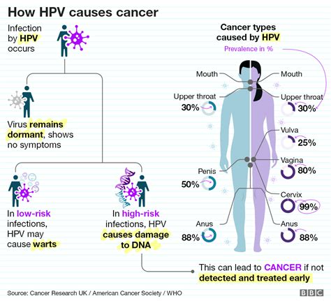 hpv related cancers in men and women