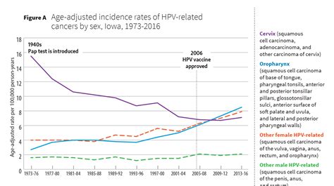 hpv related cancers in nys