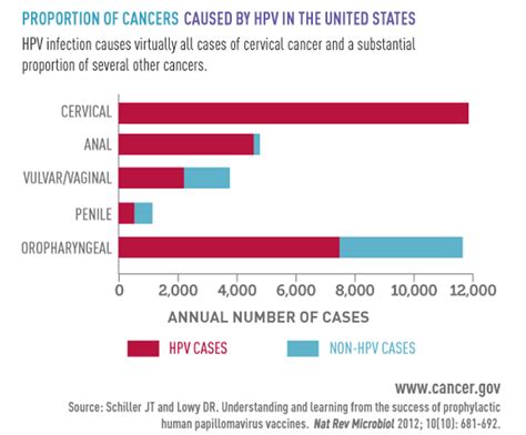 hpv related cancers incidence