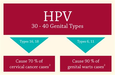 hpv subtypes 16 and 18