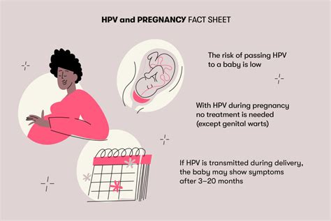 hpv vaccination and pregnancy