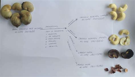 Hs Code For Cashew Nuts Kernels