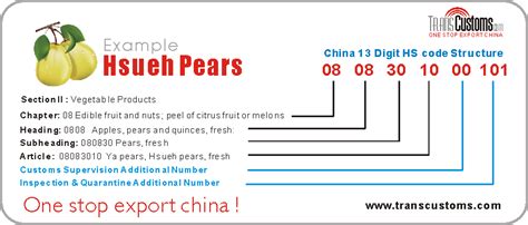 Hs Code For China Nut