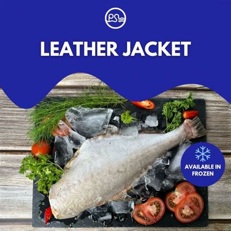 Hs Code For Leather Jacket Fish