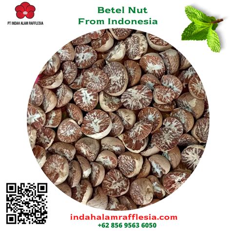 Hs Code Malaysia Betel Nut