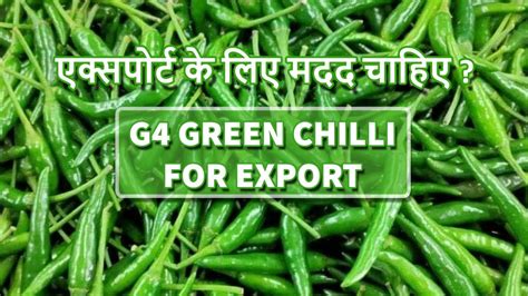 Hs Code Of Green Chilli
