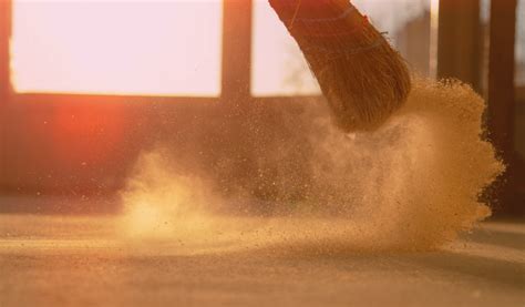 Hse Sweeping Dust