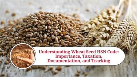 Hsn Code For Wheat
