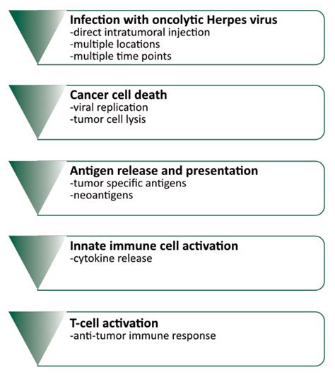 hsv 1 clinical trials