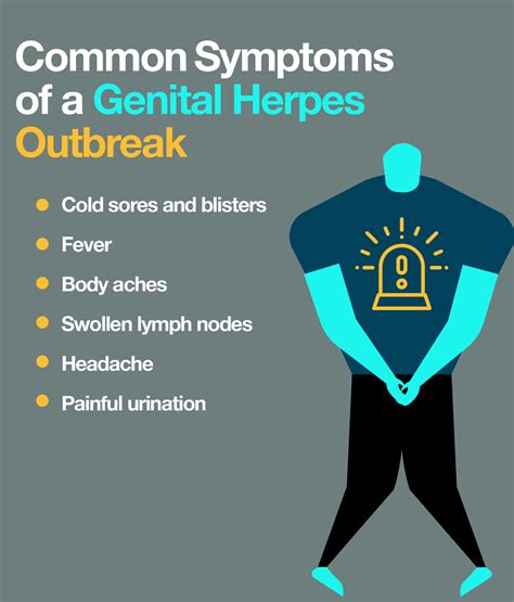 hsv 1 genital outbreak