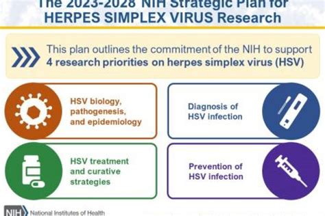 hsv vaccine update 2023