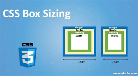 Html Box Sizing