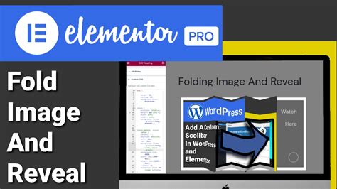 Html Folding Section