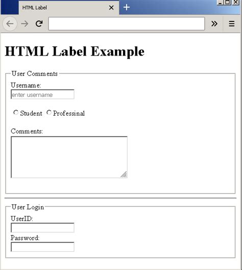 Html Form Label Example