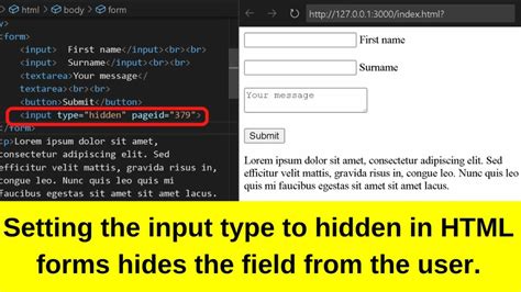 Html Hidden Input