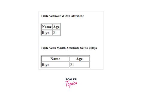 Html Table Use Full Width