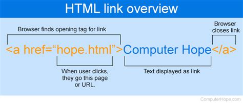Html Web Link Example