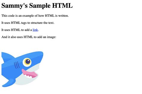 html web page examples with source code for class 10