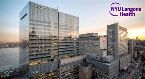 https//wwwlabbillpaycom/nyulangonehealth