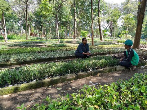Review Kebun Bibit Wonorejo di Surabaya yang Sedang Hype